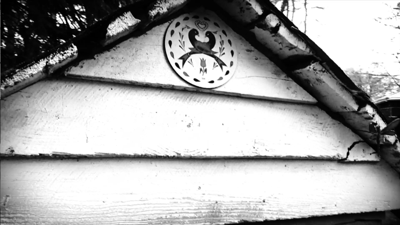 GULL - Find Out